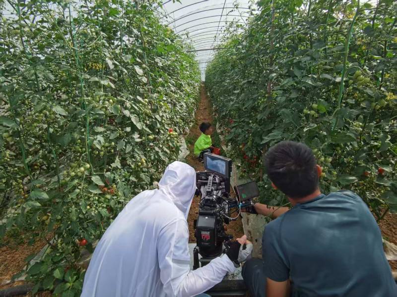 江北区产品宣传视频拍摄公司进阶指南，助力品牌抢占传播高地